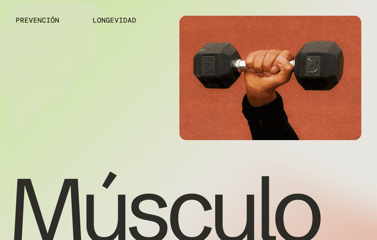 El secreto mejor guardado de tu metabolismo