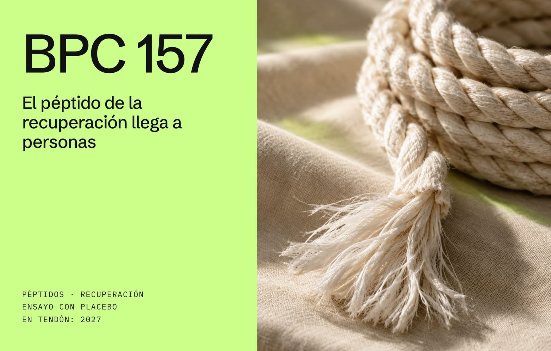 BPC 157, el péptido de la recuperación: panel lima con el título y una cuerda de algodón con las fibras abiertas, como las de un tendón