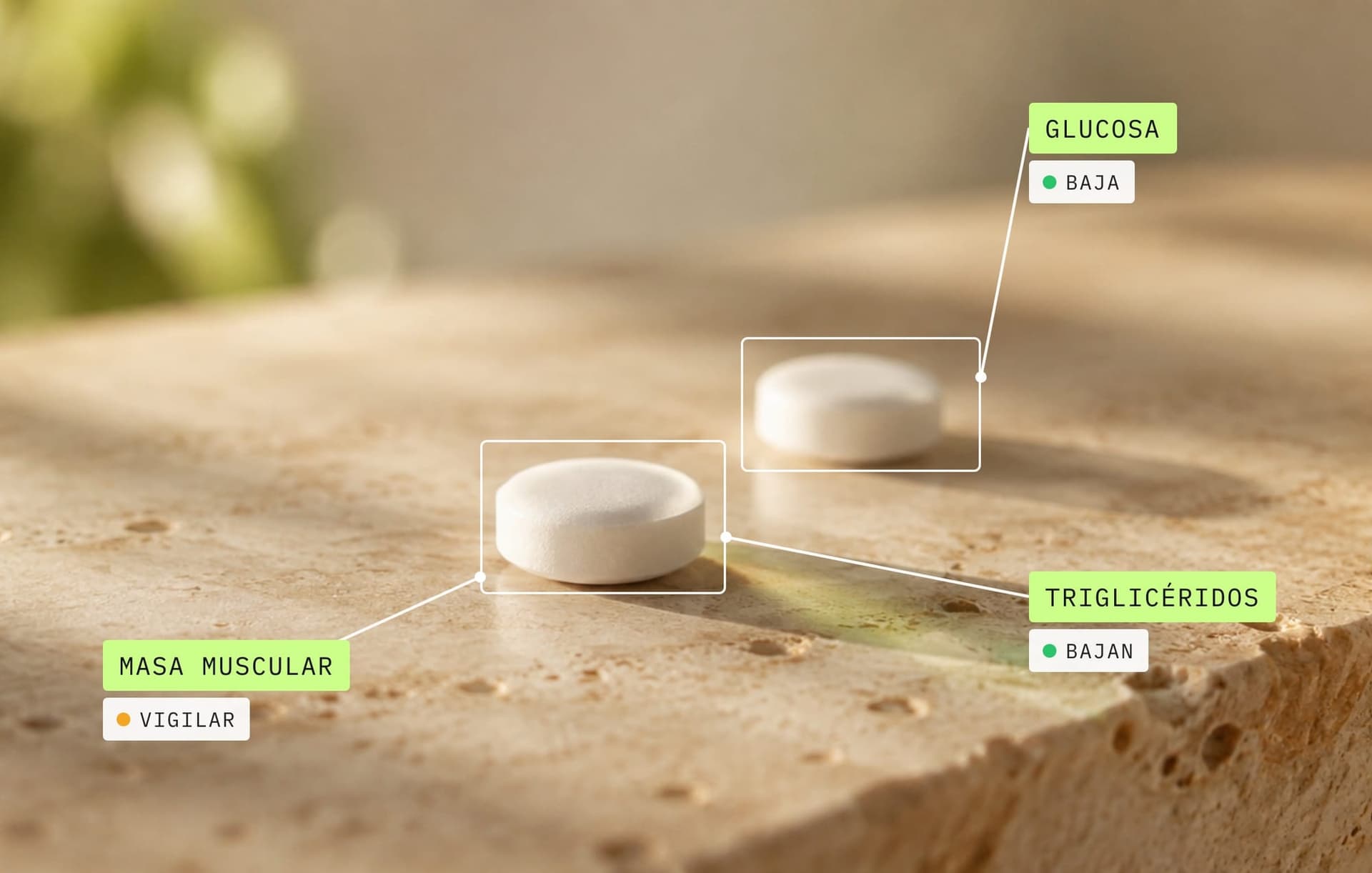 Orforglipron: pastilla de GLP-1 con etiquetas de biomarcadores, glucosa y triglicéridos que bajan y masa muscular a vigilar