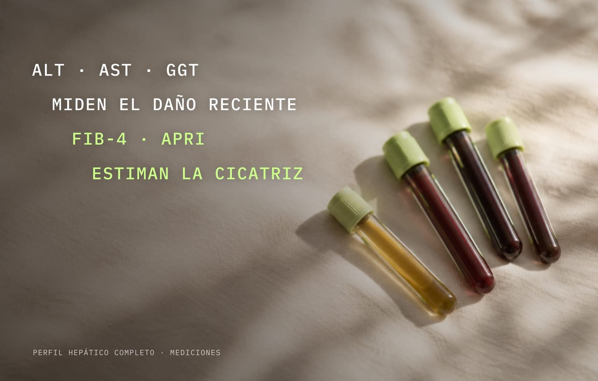 Perfil hepático completo: tubos de muestra de sangre con las frases ALT, AST y GGT miden el daño reciente; FIB-4 y APRI estiman la cicatriz