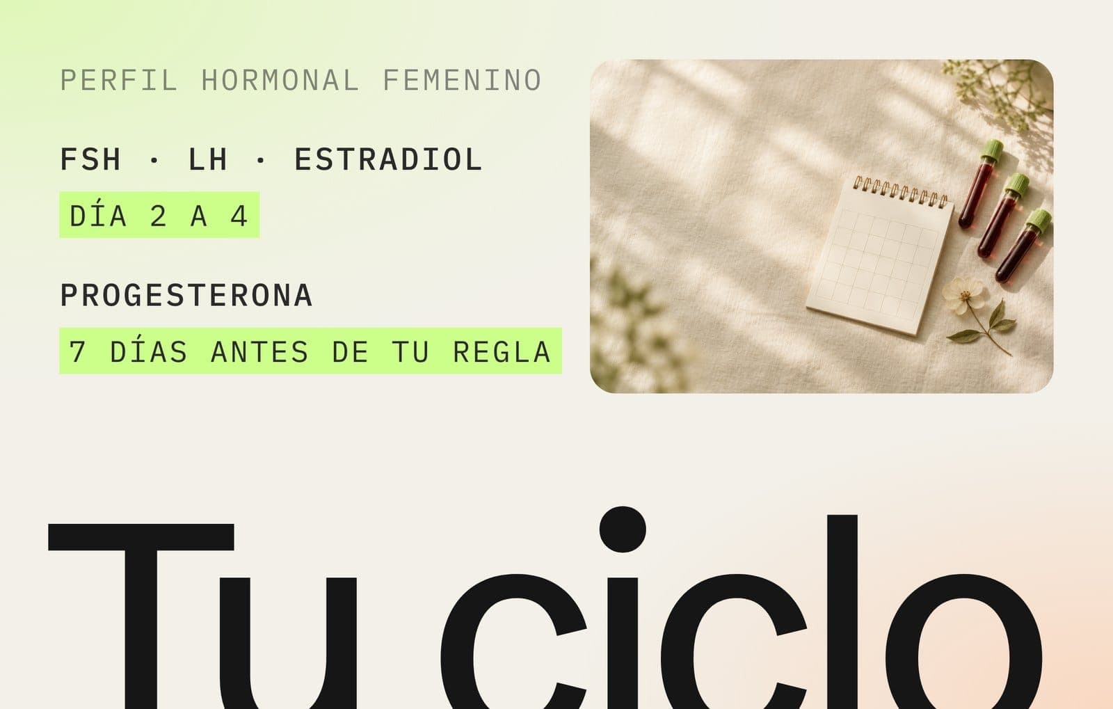Perfil hormonal femenino: FSH, LH y estradiol se miden del día 2 al 4 del ciclo y la progesterona 7 días antes de tu regla