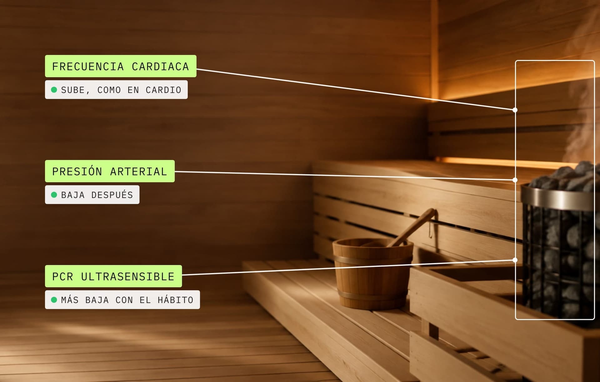 Beneficios del sauna: sauna seco finlandés vacío con etiquetas de lo que cambia en el cuerpo, frecuencia cardiaca, presión arterial y PCR ultrasensible